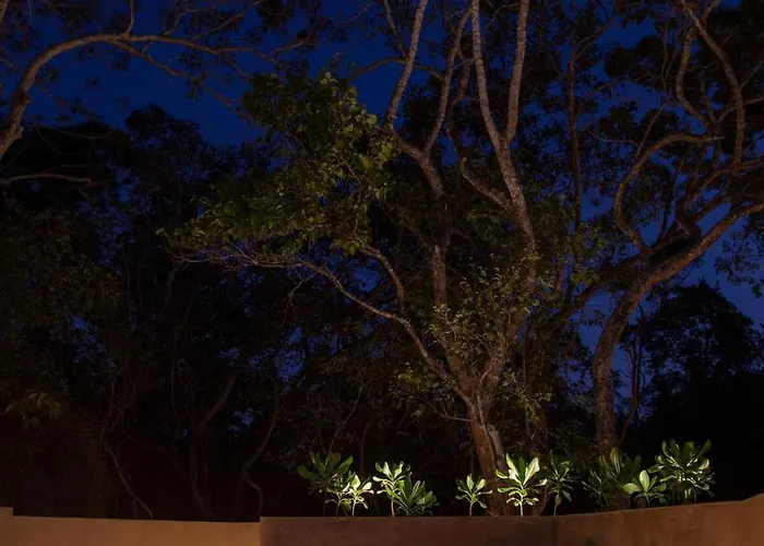 Apsara Private With Plunge Pools Apartamento Tulum
